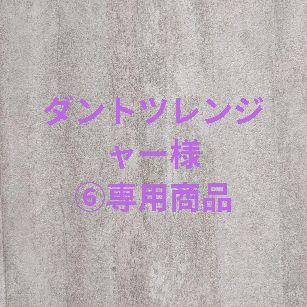 ダントツレンジャー様⑥専用商品