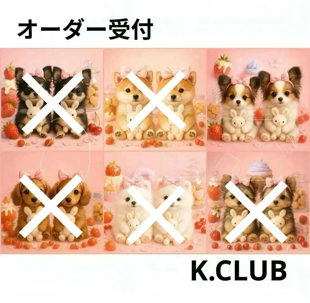 オーダー受付　わんことうさぎ②　ご予約ページ　11/9