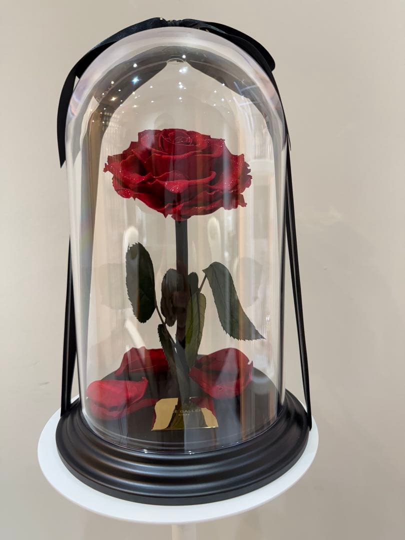 美品！ローズギャラリー赤い薔薇ドーム型ケース入り