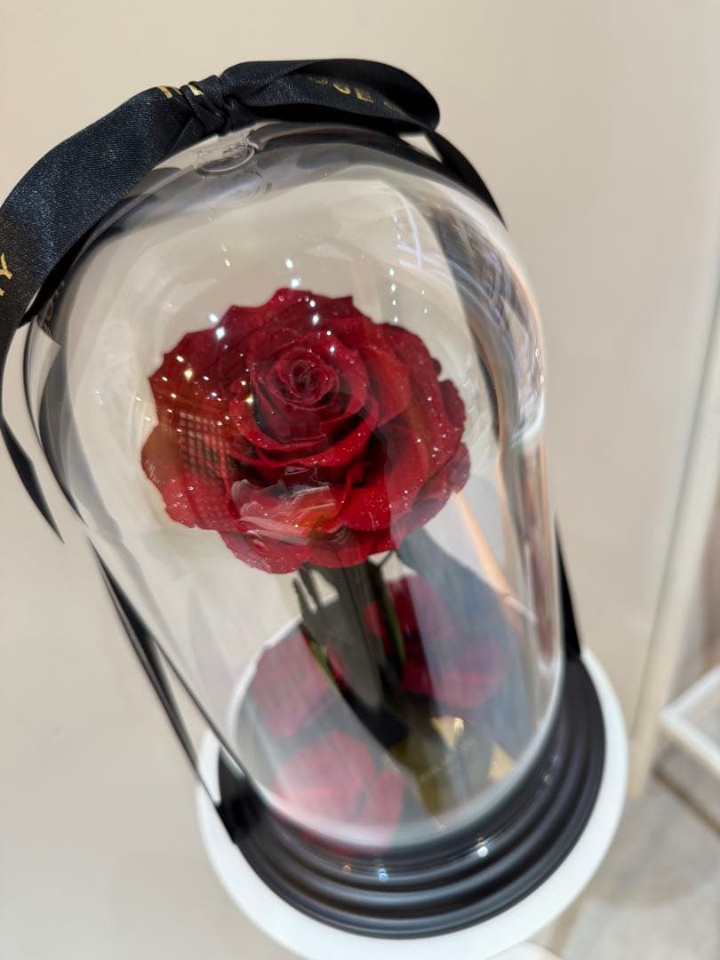 美品！ローズギャラリー赤い薔薇ドーム型ケース入り