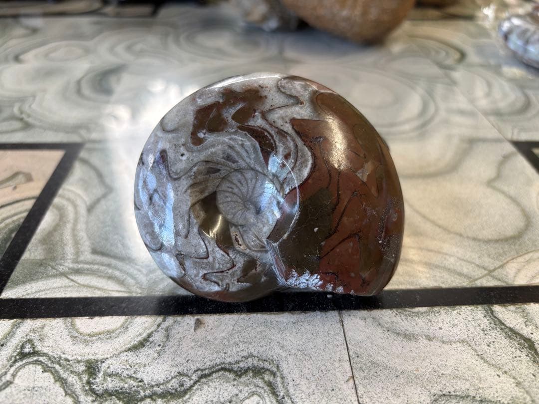 オーム貝　ゴニアタイト　アンモナイト　鉱石　化石　デヴォン紀中期