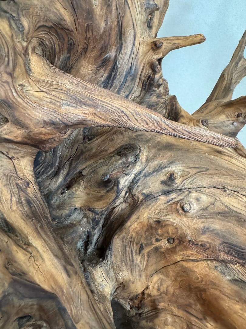 とても美しい流木　特大　水槽　インテリア　美術品　アクアリウム　中庭　玄関