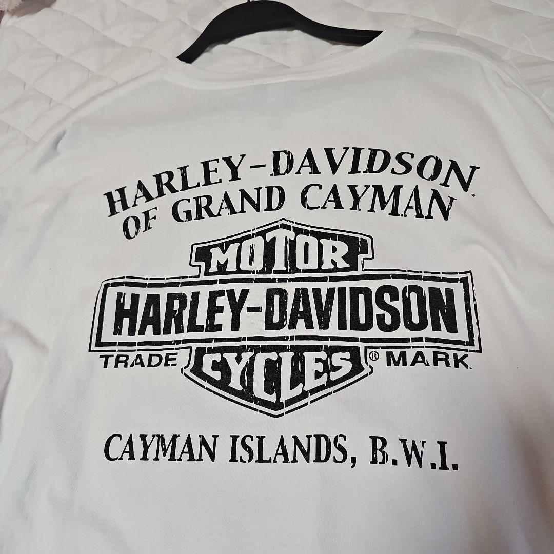 ハーレーダビットソン harley davidson ドクロフレイム 長袖ロンT