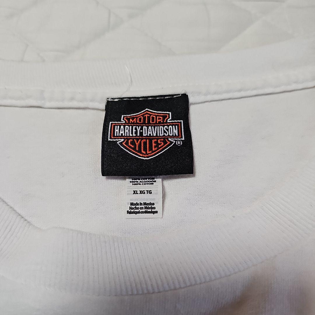 ハーレーダビットソン harley davidson ドクロフレイム 長袖ロンT