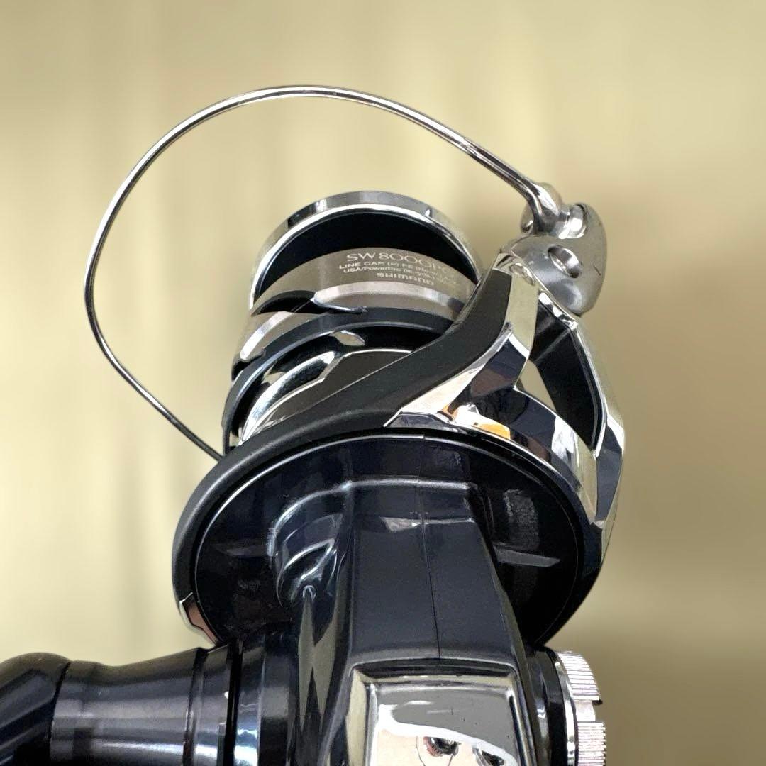 21ツインパワーSW8000PG