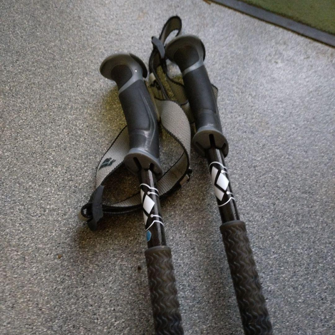  ストック カーボン