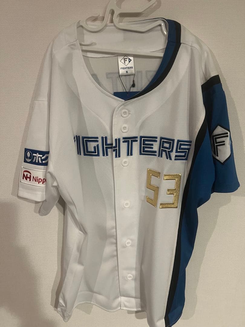 水谷瞬　ユニフォーム　サイン入り　プロコレ風