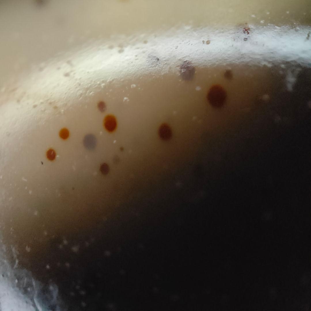 19 老礦天珠　六眼天珠　朱砂　天珠　天然石　御守り　ブレスレット　ネックレス