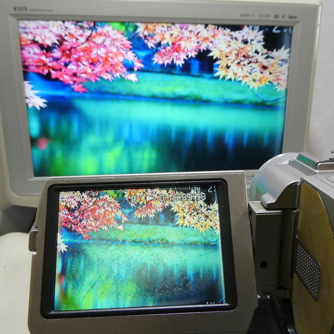 動作品 ソニー DCR-TRV20 MiniDVビデオカメラ　DVD化に最適