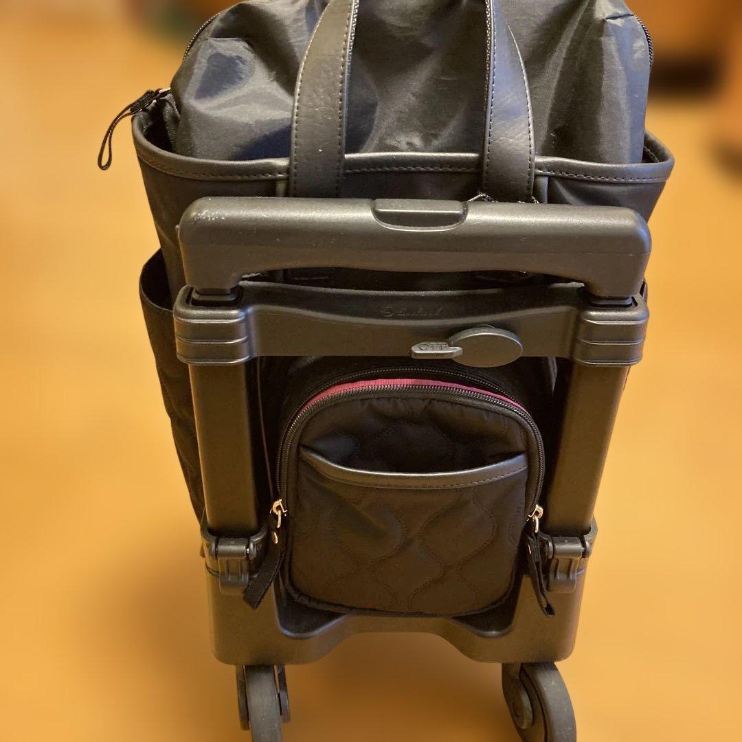 SWANY スワニー　キャリーバッグ D-589 プーフォ TS18