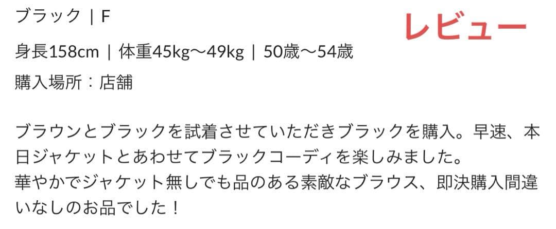 【ウィムガゼット】リボン　ボウタイ　シアー　ブラウス　ブラック　フレンチスリーブ