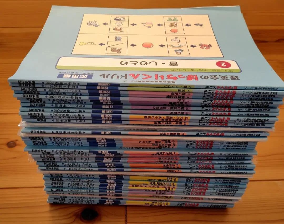 理英会　ばっちりくんドリル　応用編