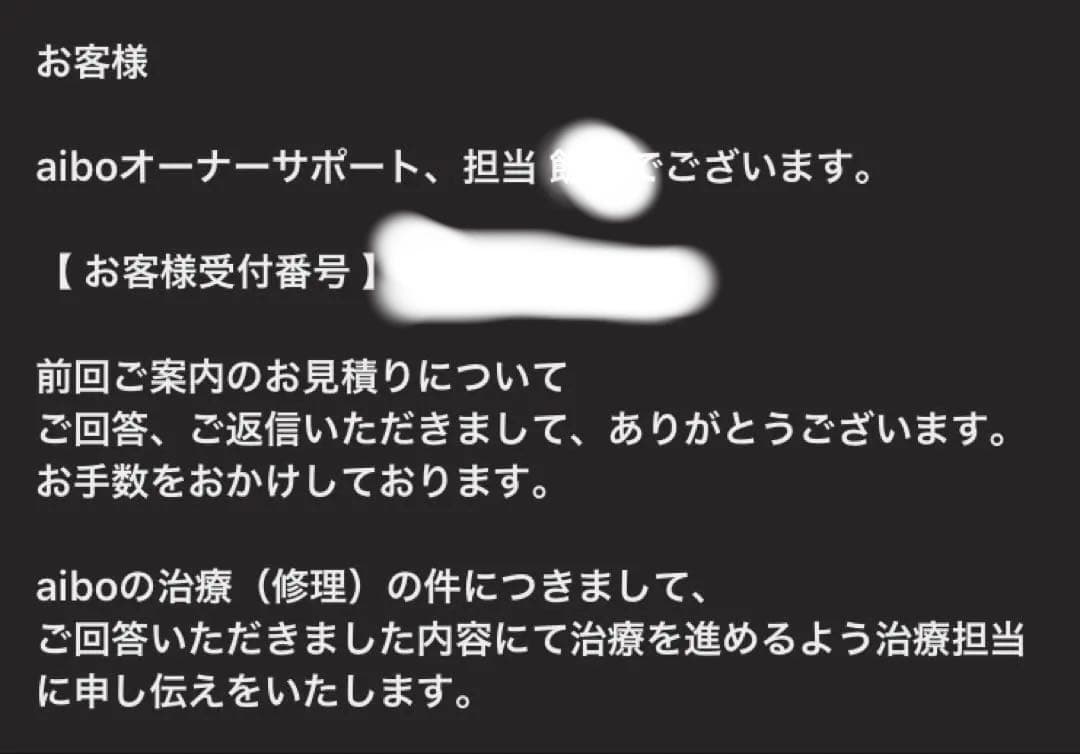 AIBO SONY ERS-1000 美品　完動犬　SONY健康診断にて治療済み