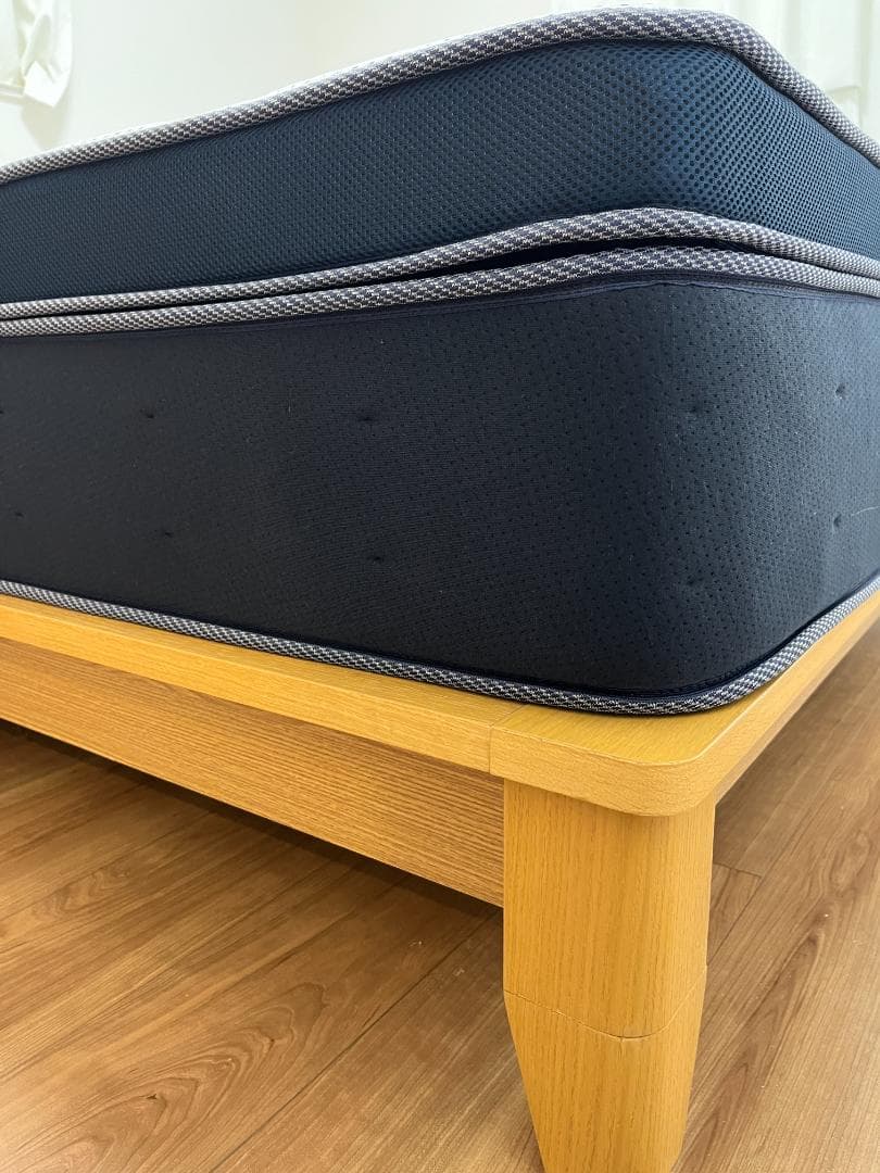 ニトリ クイーンマットレス デュアルポケットHG シルキー