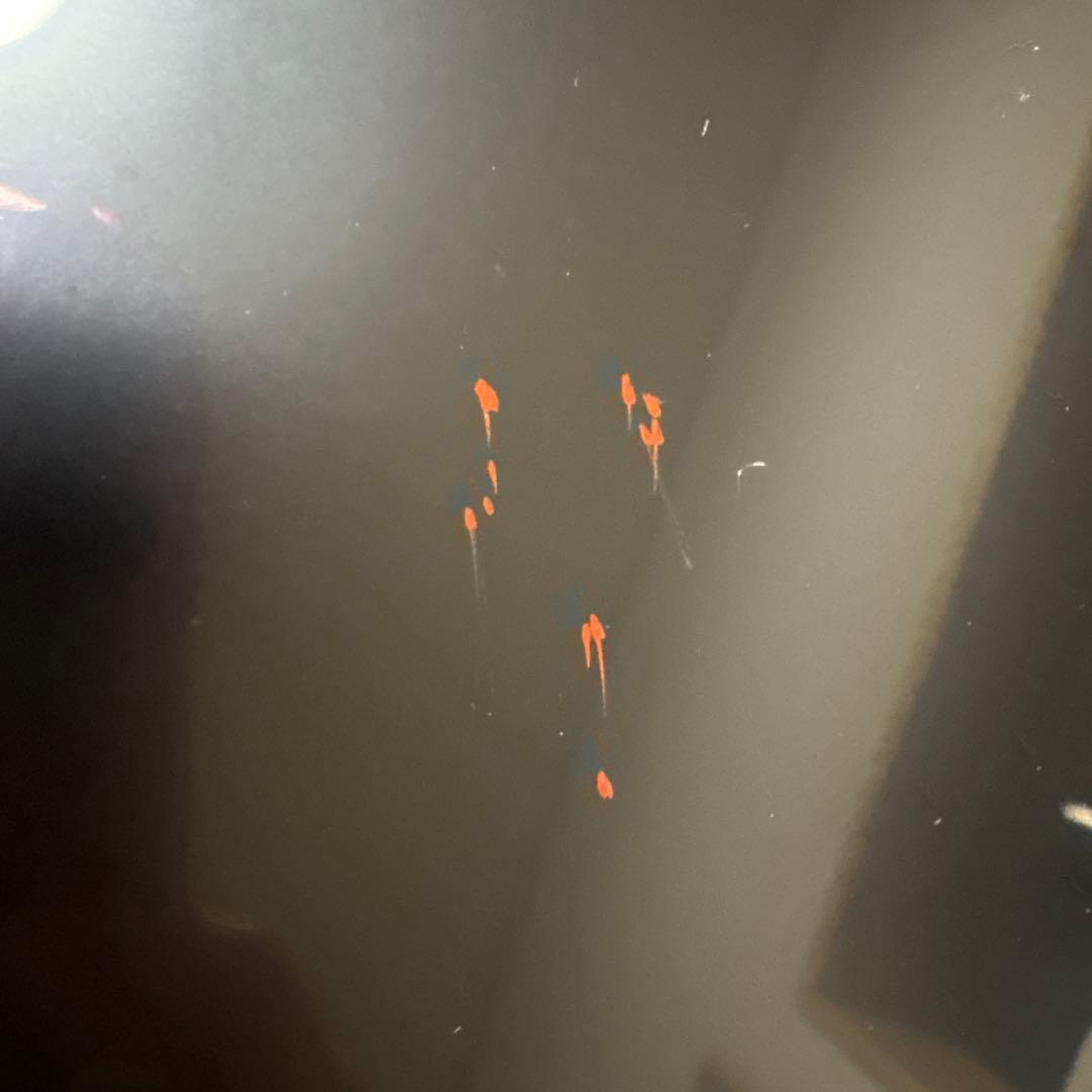 榎木啓　40cm 朱塗漆皿「暮色」