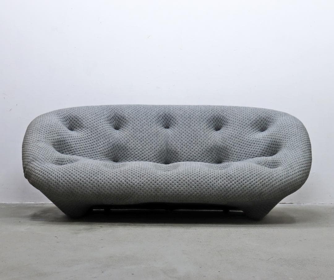 リーン ロゼ Ploum プルム 2P ソファ フランス モダン