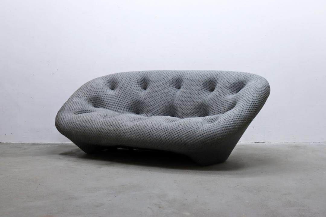 リーン ロゼ Ploum プルム 2P ソファ フランス モダン