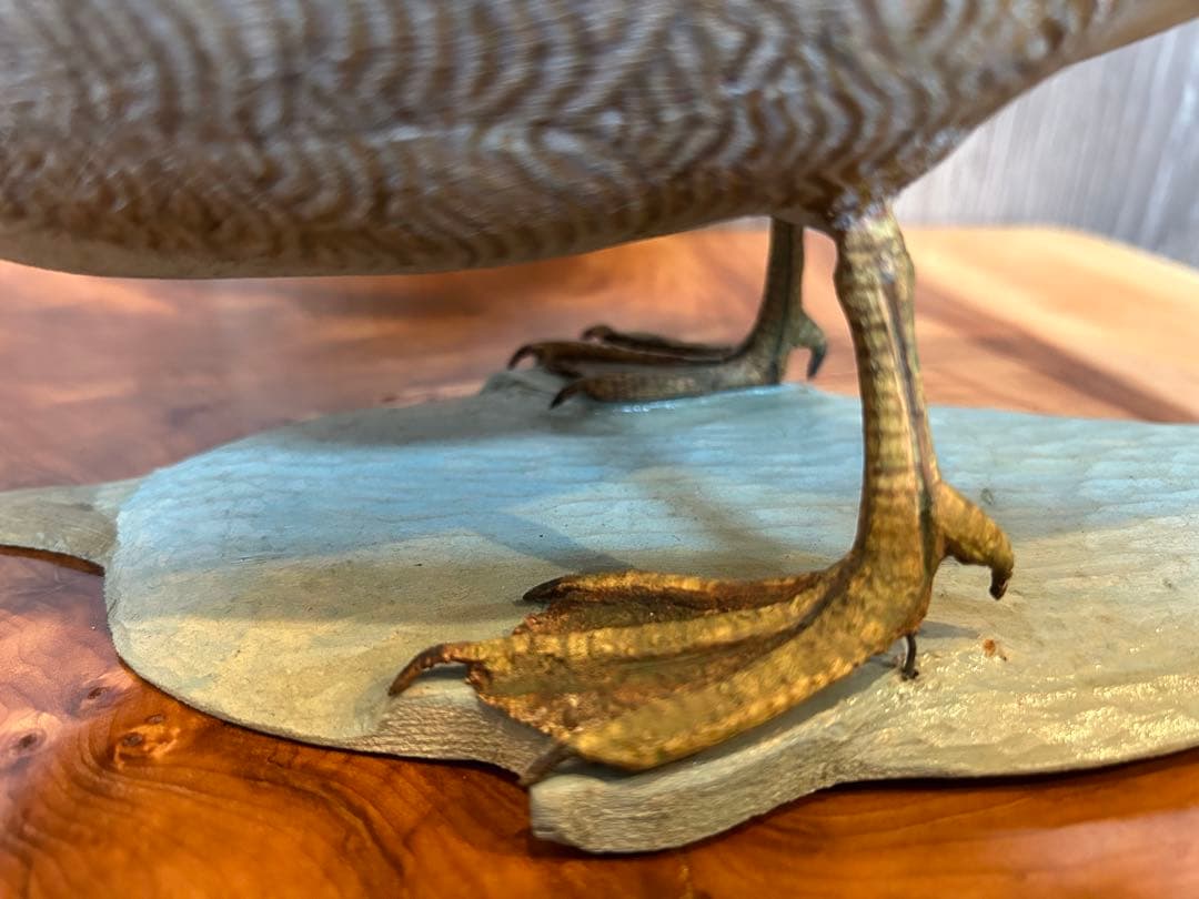 バードカービング　ヨシガモ　鴨　野鳥　（複数購入お値引き可）