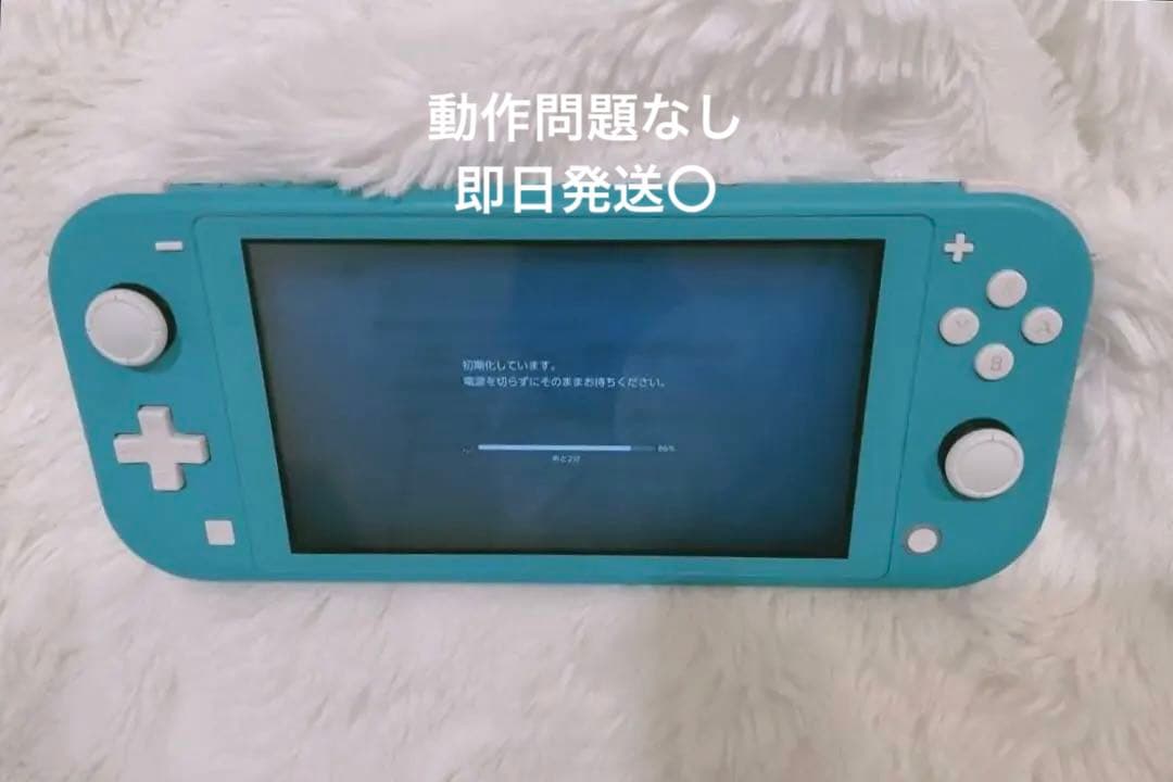 Nintendo Switch Lite 本体＋ケース