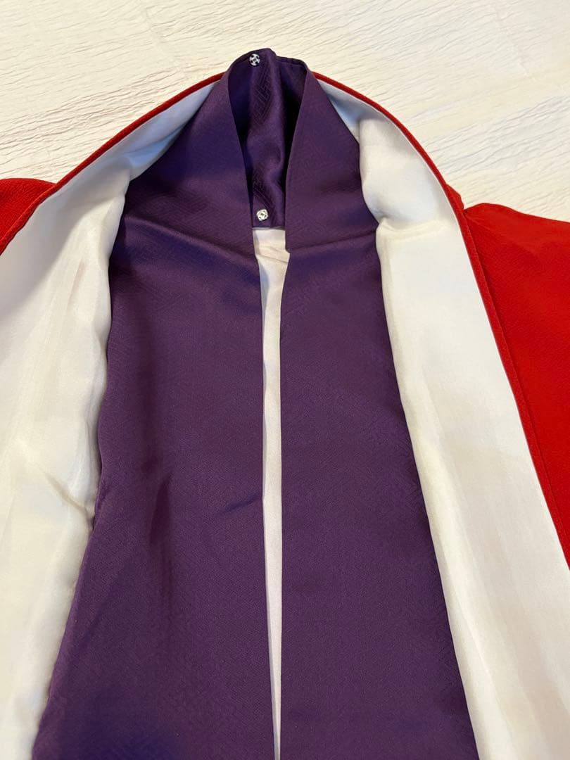 saki様 振袖のみ　赤 刺繍 sMH2511051