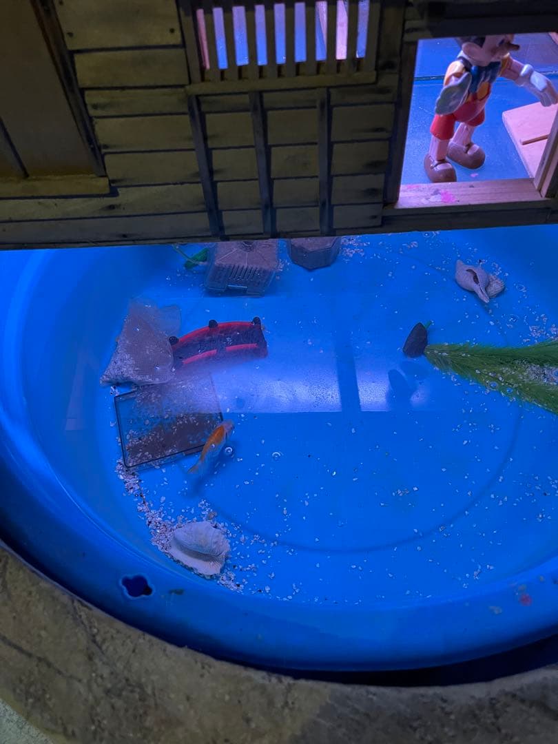 丸太の池、丸太、切り抜き丸太、金魚の池、丸太のプランター