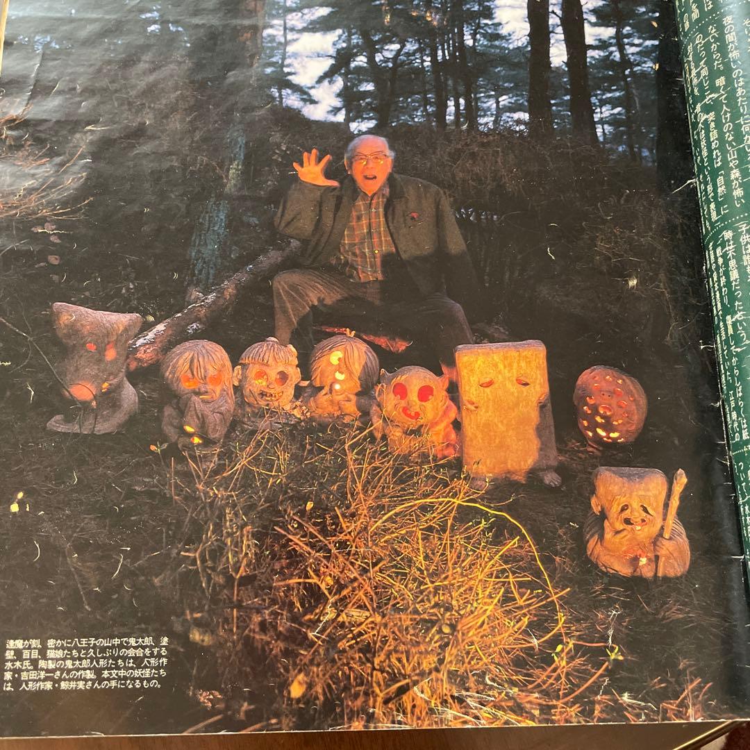 イ*ン様 水木しげるゲゲゲの鬼太郎 水彩画 サイン印入り