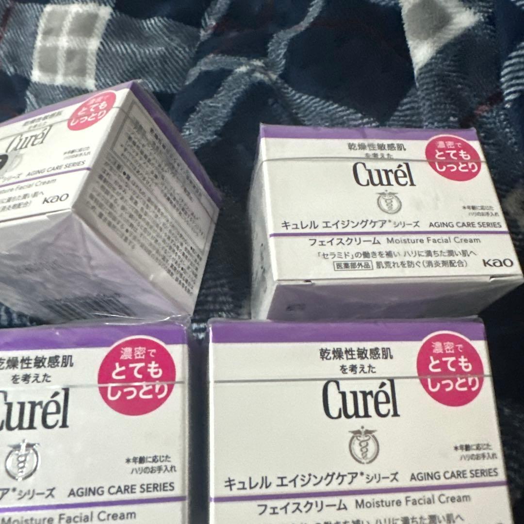 のこ