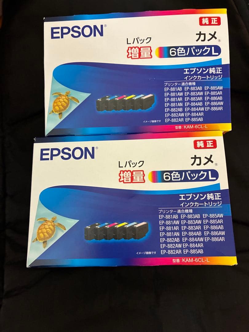 EPSON KAM-6CL-L カメ