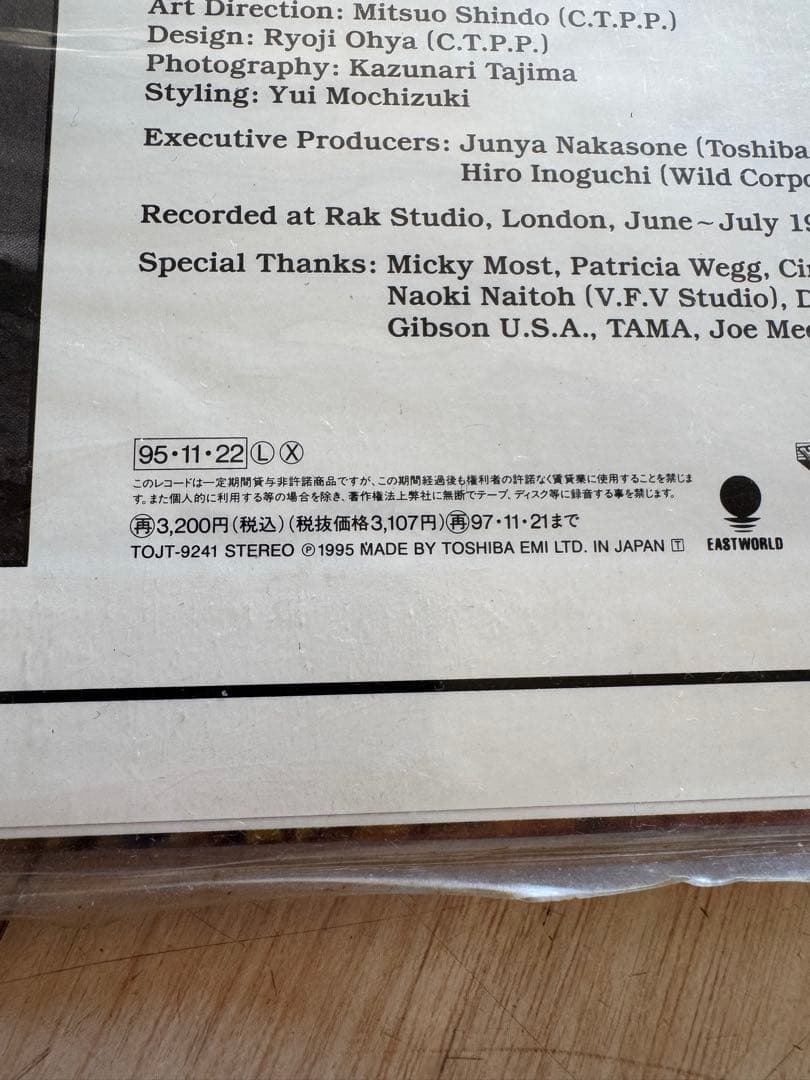 Blankey Jet City Skunk レコード ブランキージェットシティ