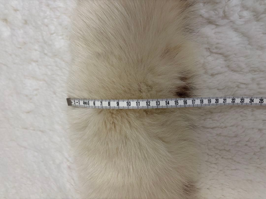 お正月セール　極美品　SAGA MINKマフラー