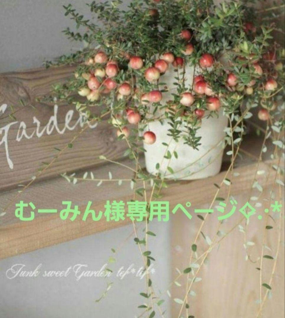 むーみんページ♬*°