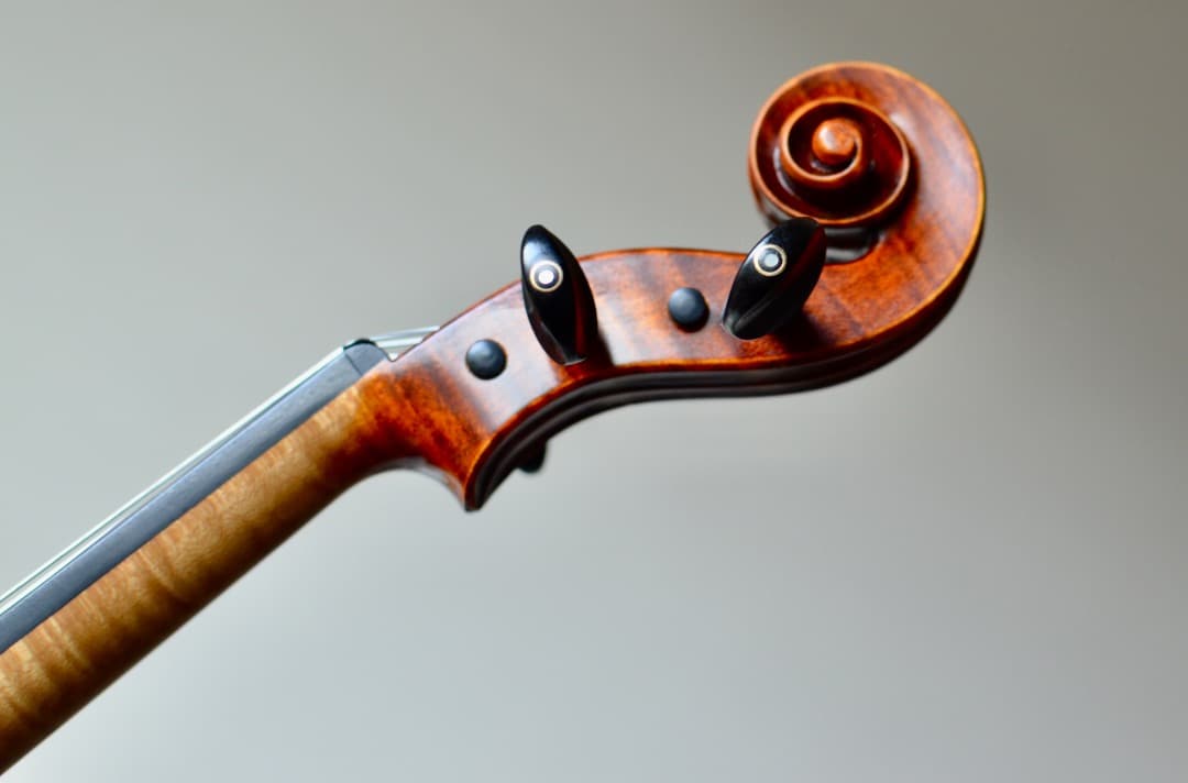 【銘器】R.Paesold No.804A バイオリン 4/4