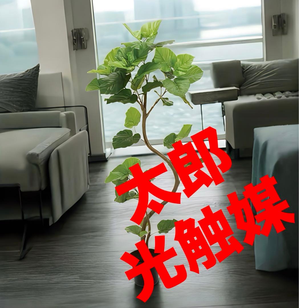 光触媒　人工観葉植物　ウォールグリーン　フェイクグリーン　スパイラルウンベラータ