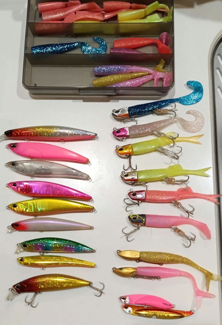 DUO　ビーチウォーカー　サーフルアーセット