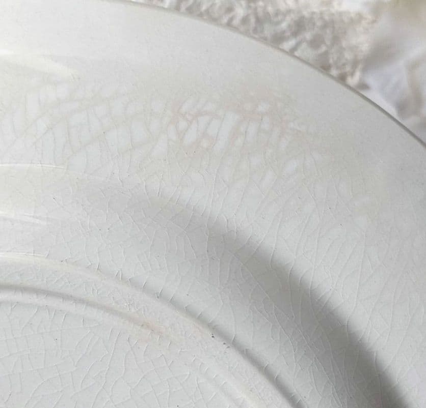 希少　美品　サルグミンヌ　RIGHI　平皿　フランスアンティーク