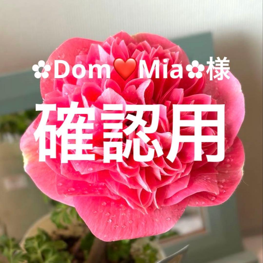 ✿Dom❤Mia✿様　確認用　レバンテ　ローザ