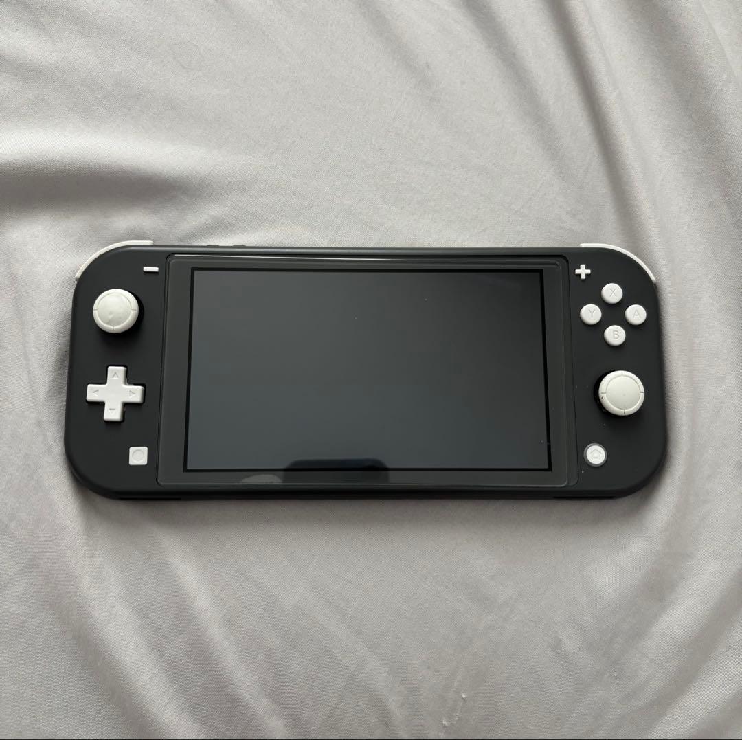 Switchライト ジャンク品