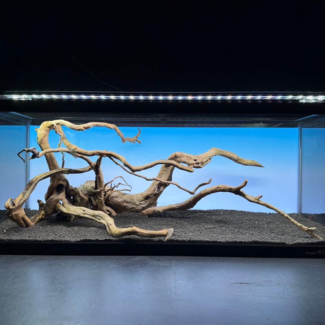 MDW-7223 ブランチウッドレイアウトセット　90cm水槽用流木　枝流木