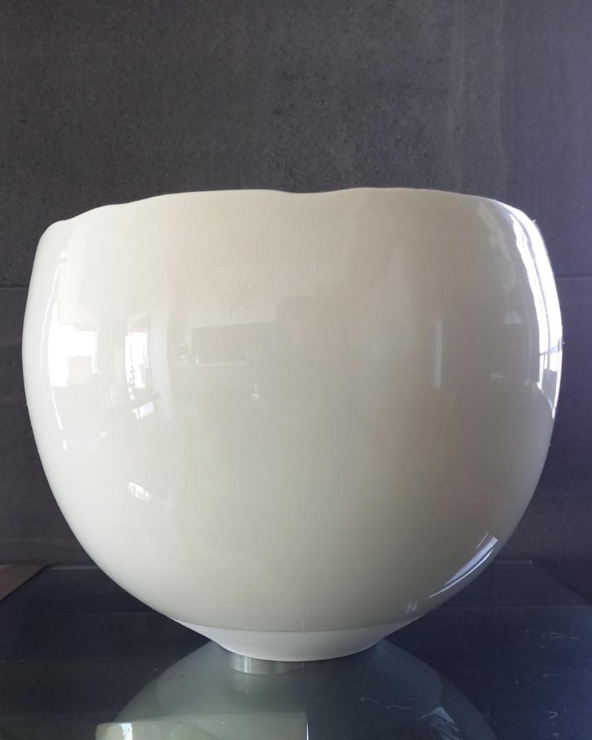 瀬戸焼　藤井憲之　白磁大鉢　26.5cm