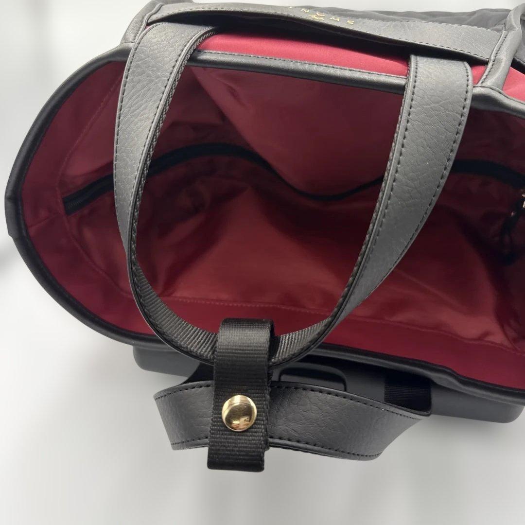 SWANY スワニー　キャリーバッグ D-589 プーフォ M21