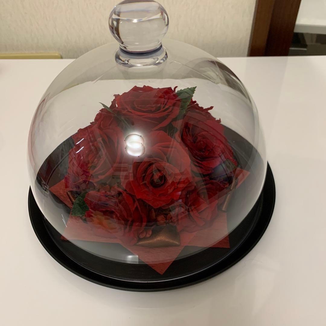 赤い薔薇、ブラザードフラワードー ム型24✖️20