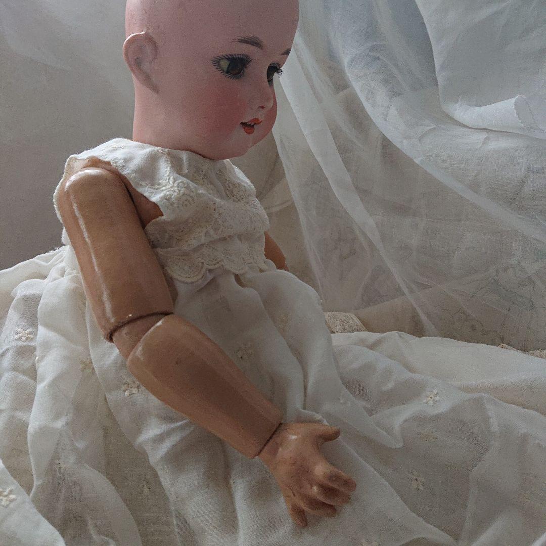 ルイス　アンバーグ　51㌢