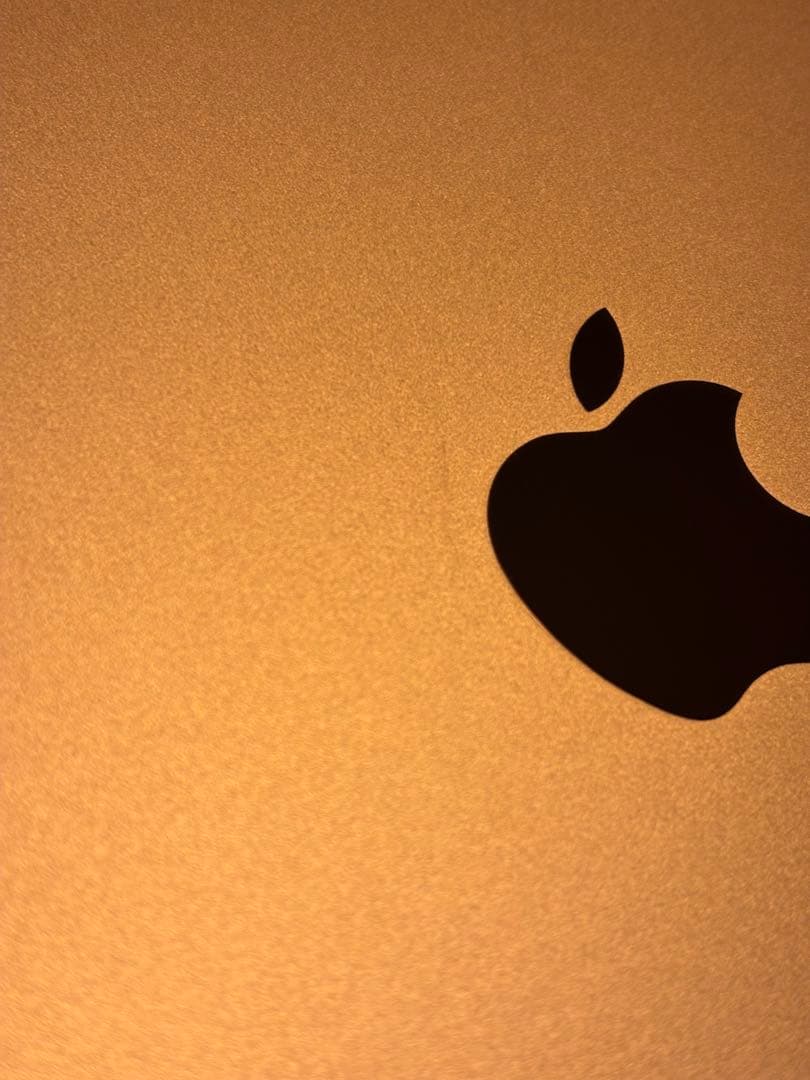 颯*様 iPad mini第5世代 64GB Wi-Fi+Cellular