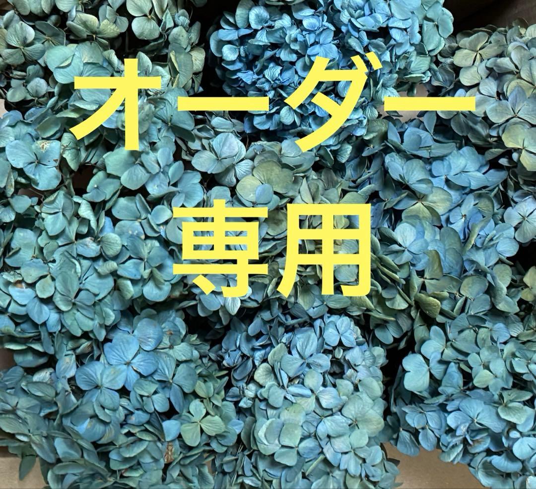 【オーダー専用】アジサイ ドライフラワー 第2期　青緑〜緑青〜黄緑〜紫〜ベージュ
