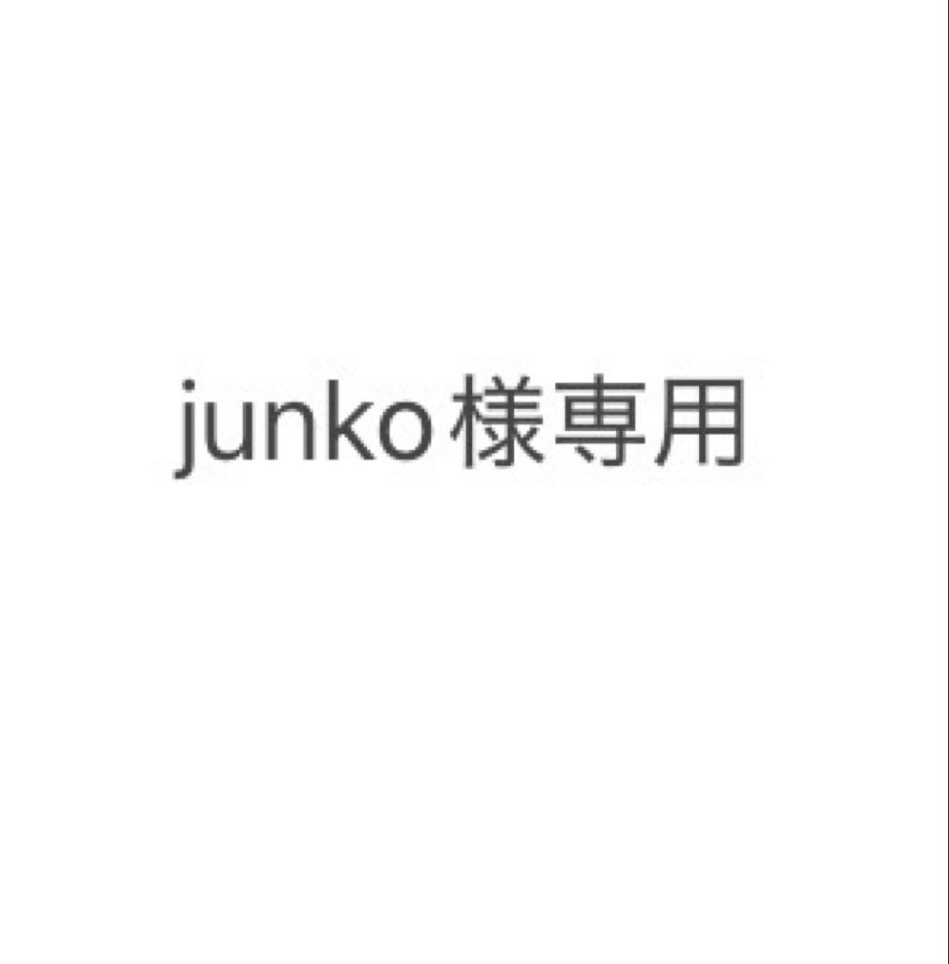 Junko　M4枚