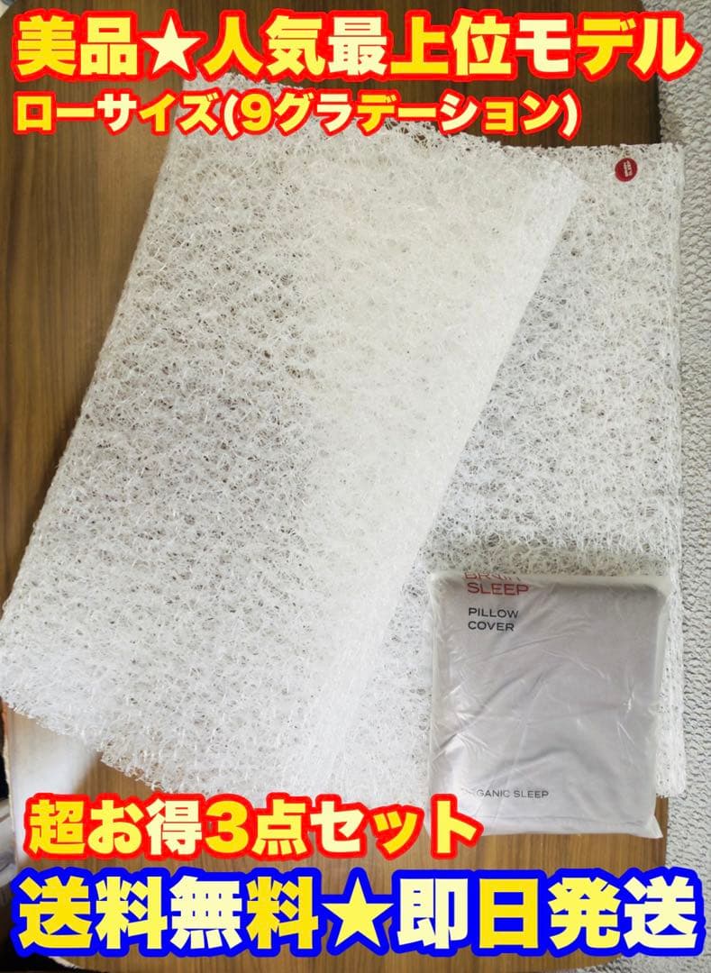 ★定価6.6万】BRAIN SLEEP PILLOW ブレインスリープ ピロー