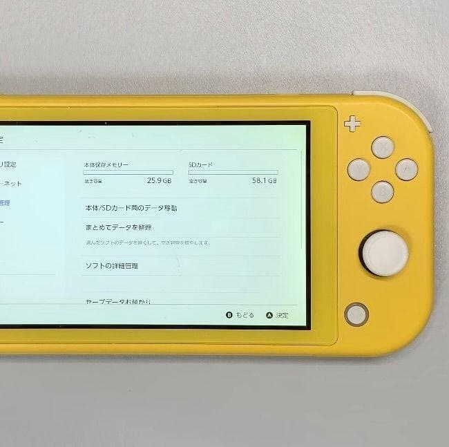 Nintendo Switch Lite 本体 動作品