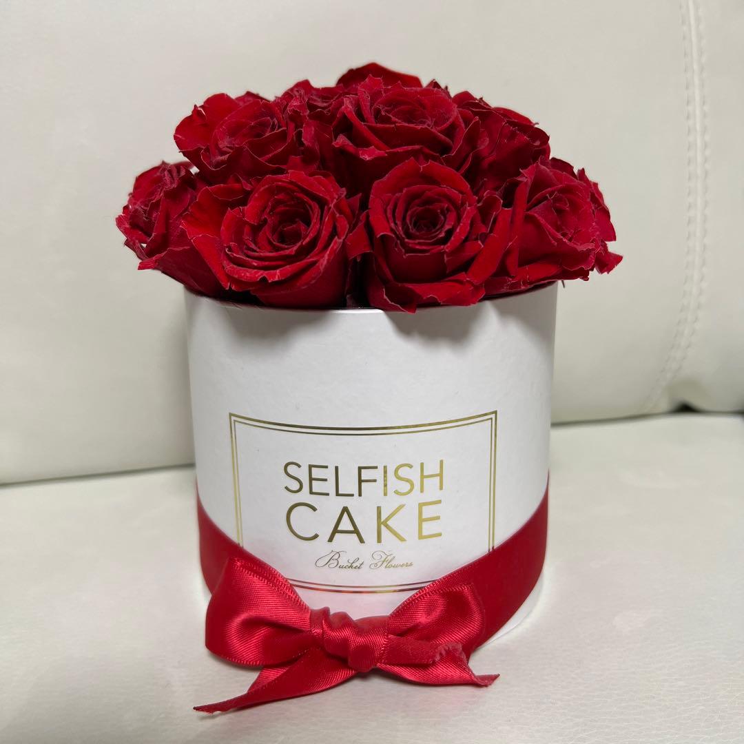 Selfish Cake タイプBスモールボックス
