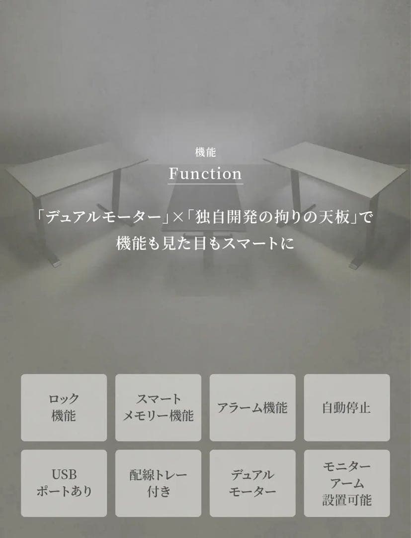 PAXTON desk Mortar Gray 電動昇降式デスク