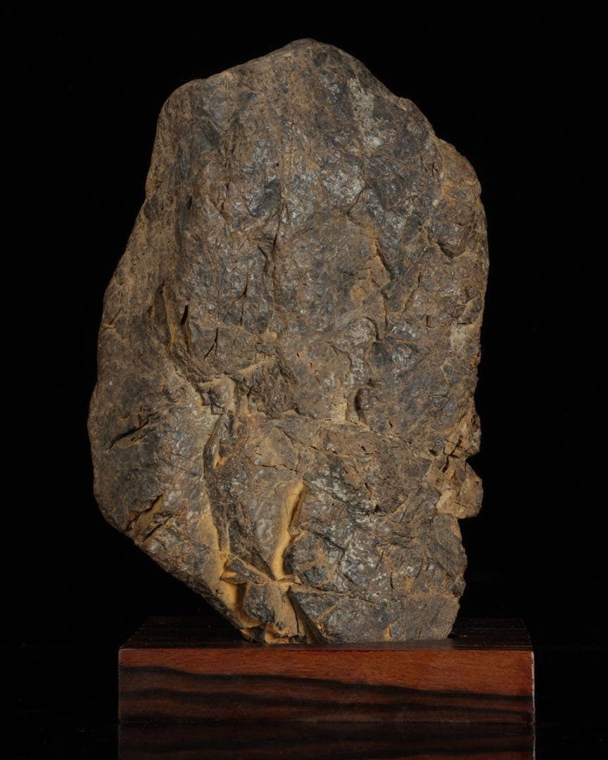 根尾川 菊花石 六華　台座 共箱付 6kg 鑑賞石 原石 自然石 美石 飾石